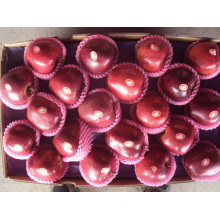Exporting Standard Packing Fresh Red Apple, Huaniu Apple